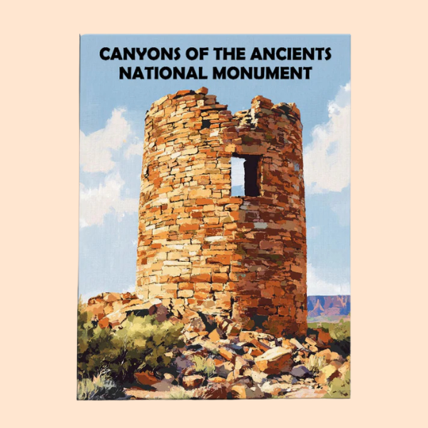 Canyons of the Ancients National Monument - Paint by Numbers Kit EasyArtJoy