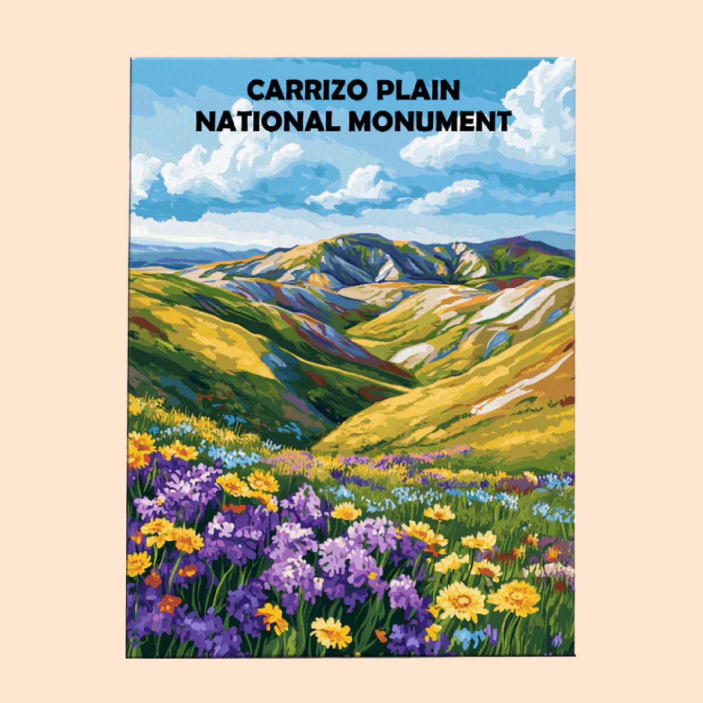 Carrizo Plain National Monument - Paint by Numbers Kit EasyArtJoy