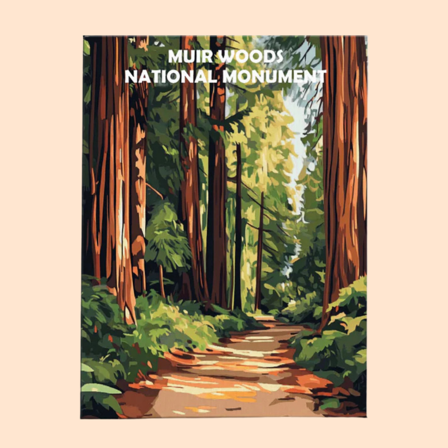 Muir Woods National Monument - Paint by Numbers Kit EasyArtJoy
