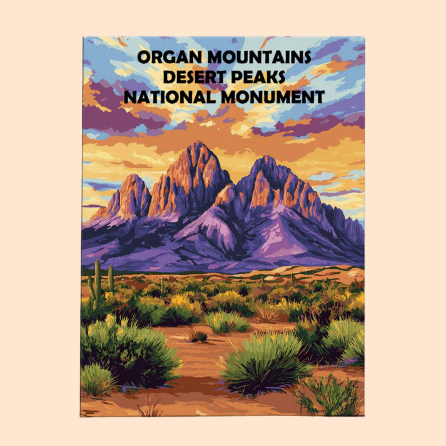 Organ Mountains Desert Peaks National Monument - Paint by Numbers Kit EasyArtJoy