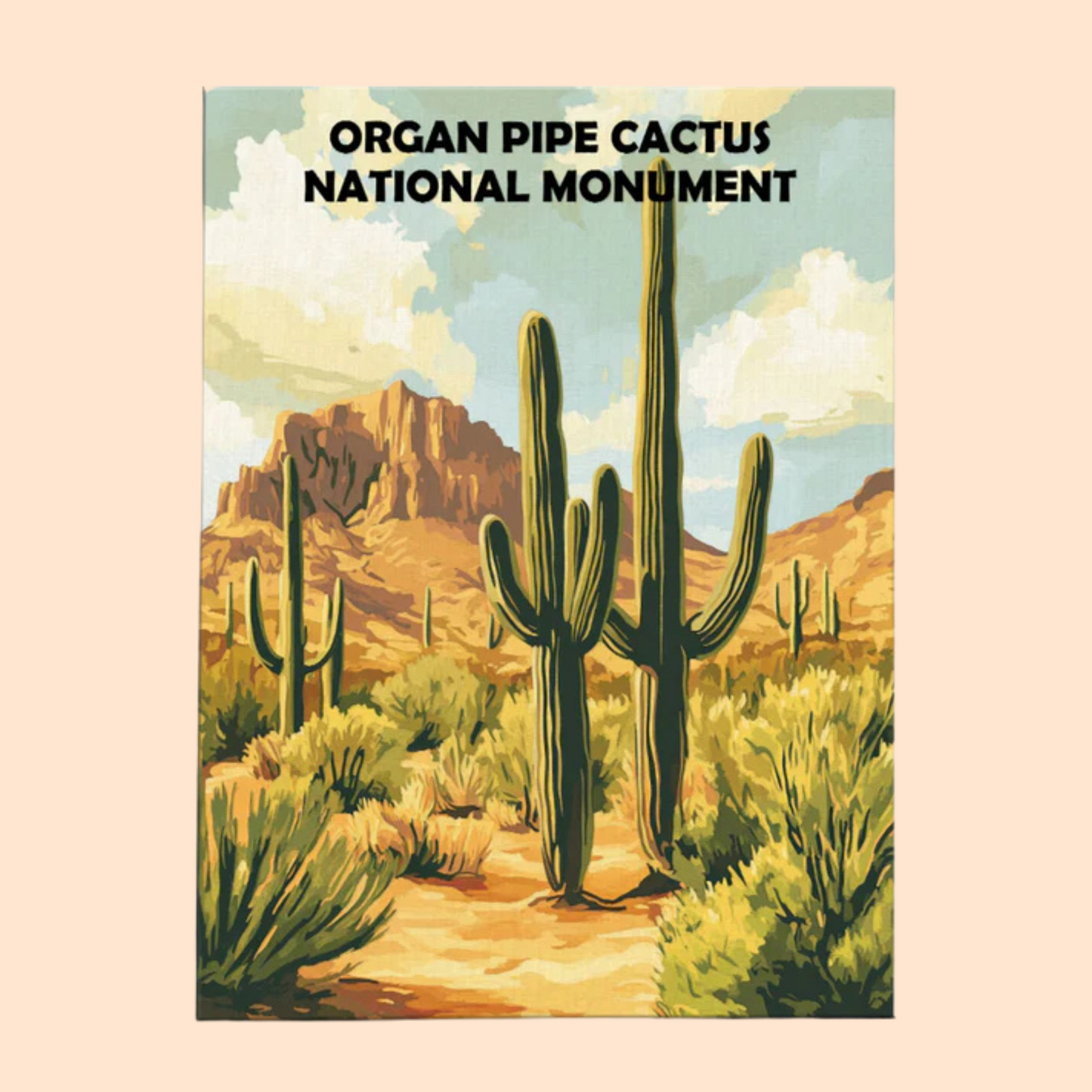 Organ Pipe Cactus National Monument - Paint by Numbers Kit EasyArtJoy
