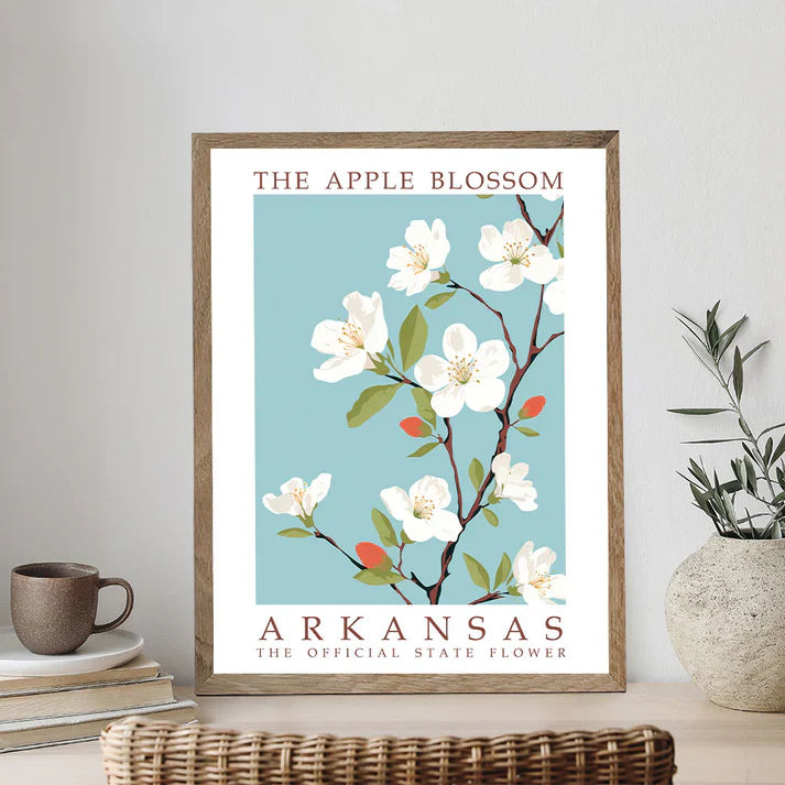 Arkansas State Flower - Apple Blossom - Paint by Numbers Kit