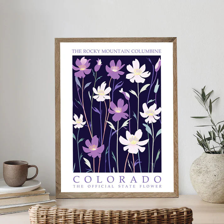 Colorado State Flower - Rocky Mountain Columbine - Paint by Numbers Kit