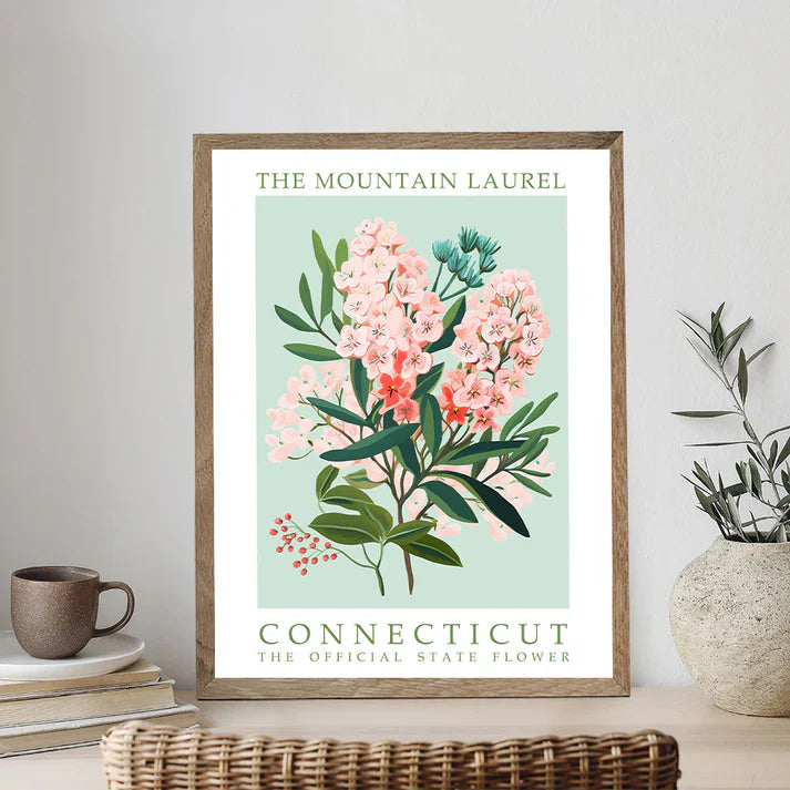 Connecticut State Flower - Mountain Laurel - Paint by Numbers Kit