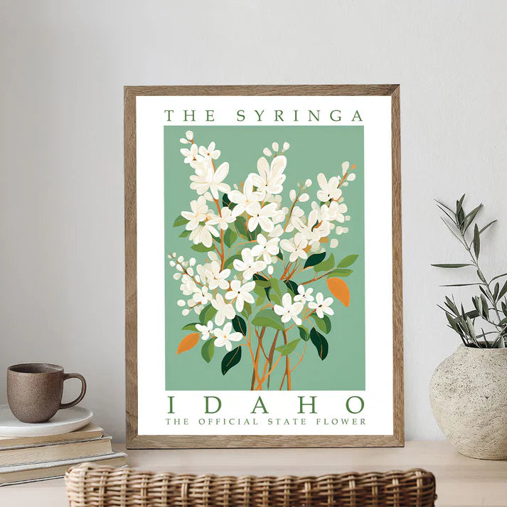 Idaho State Flower - Syringa - Paint by Numbers Kit