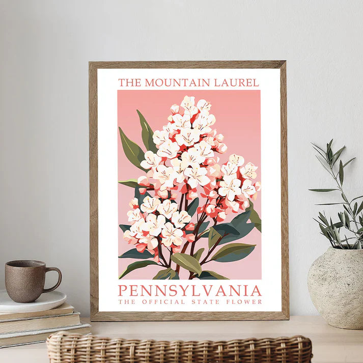 Pennsylvania State Flower - Mountain Laurel - Paint by Numbers Kit
