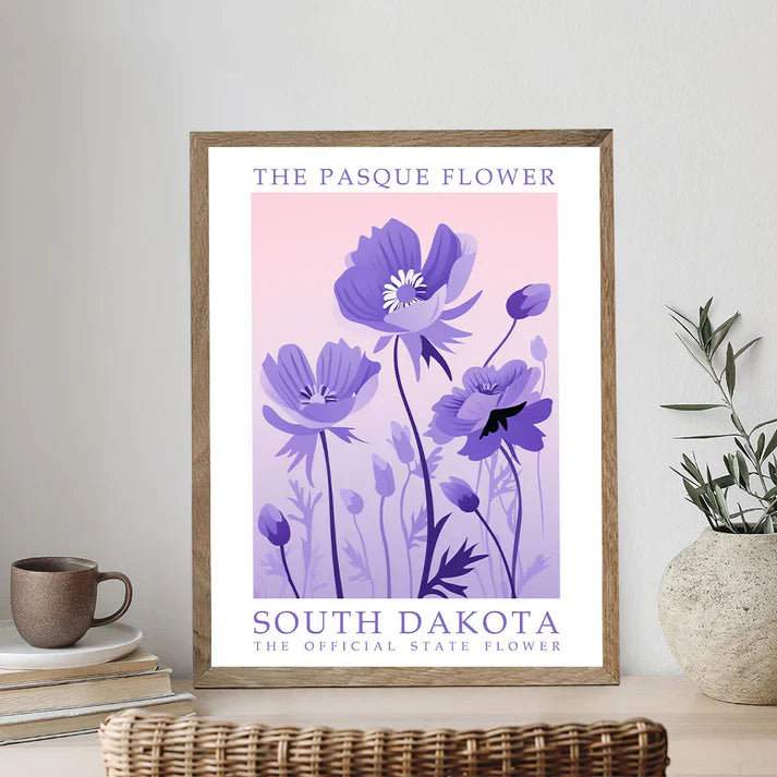 South Dakota State Flower - Pasque Flower - Paint by Numbers Kit