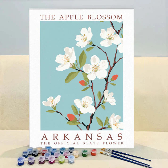 Arkansas State Flower - Apple Blossom - Paint by Numbers Kit