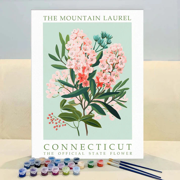 Connecticut State Flower - Mountain Laurel - Paint by Numbers Kit