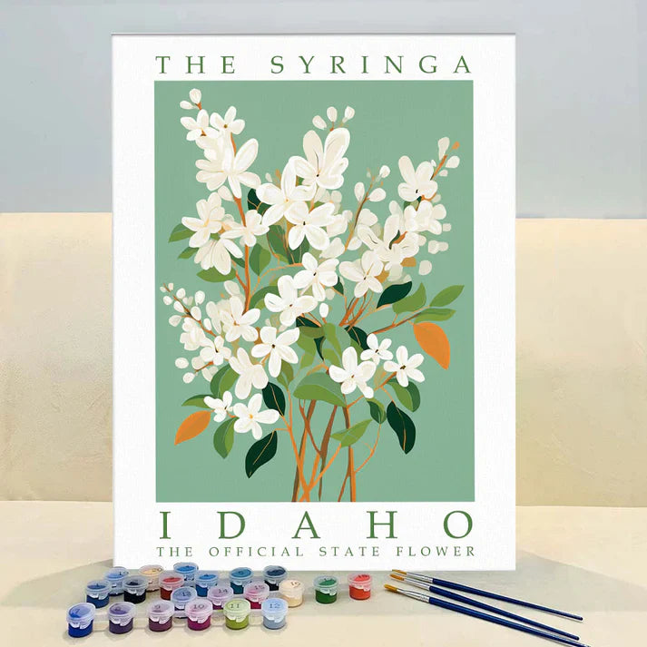 Idaho State Flower - Syringa - Paint by Numbers Kit