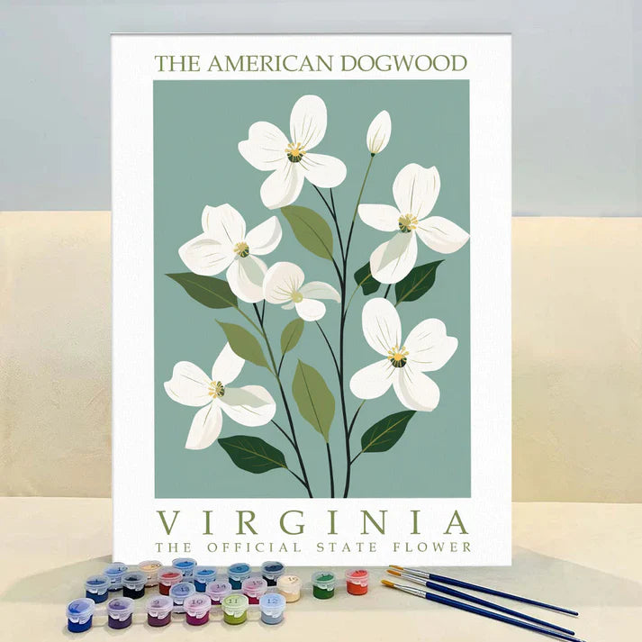 Virginia State Flower - American Dogwood - Paint by Numbers Kit