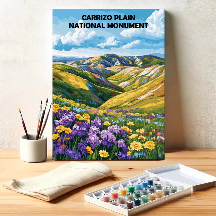 Carrizo Plain National Monument - Paint by Numbers Kit EasyArtJoy