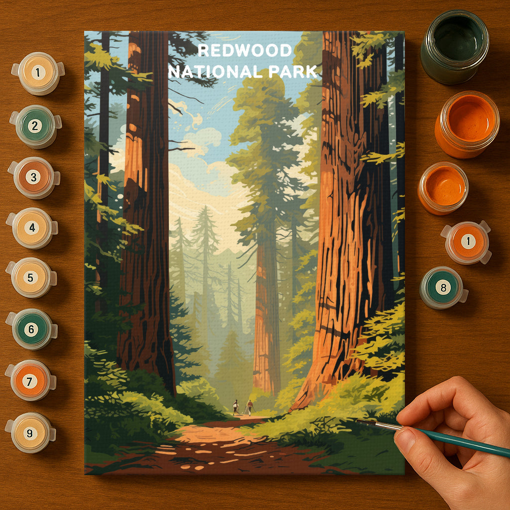 Redwood National Park (Original Edition) | Paint by Numbers Kit EasyArtJoy