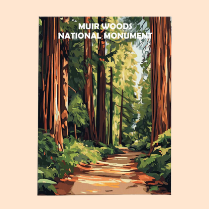 Muir Woods National Monument - Paint by Numbers Kit EasyArtJoy