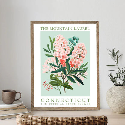 Connecticut State Flower - Mountain Laurel - Paint by Numbers Kit