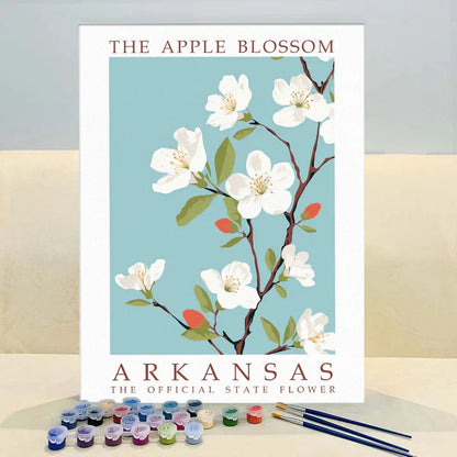 Arkansas State Flower - Apple Blossom - Paint by Numbers Kit